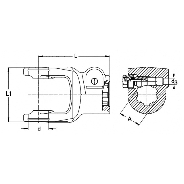 Machoire Extremite 1"3/4 6C 50X118 Boulon Conique Agcc référence fournisseur 234869